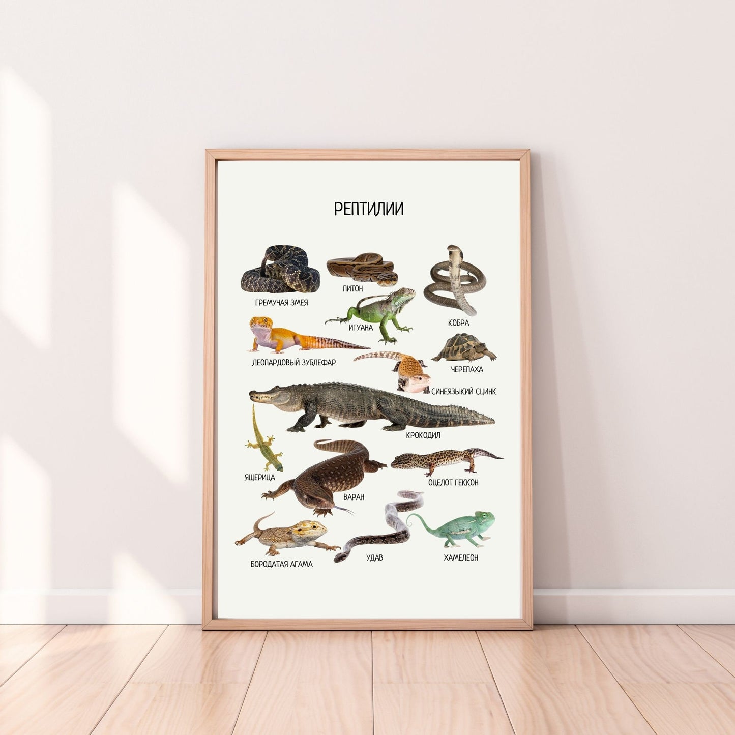 Постер "Рептилии"| Educational Poster "Reptiles" (Actual Print) in Russian. Home & Classroom Decor, *Frame not included