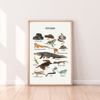 Постер "Рептилии"| Educational Poster "Reptiles" (Actual Print) in Russian. Home & Classroom Decor, *Frame not included