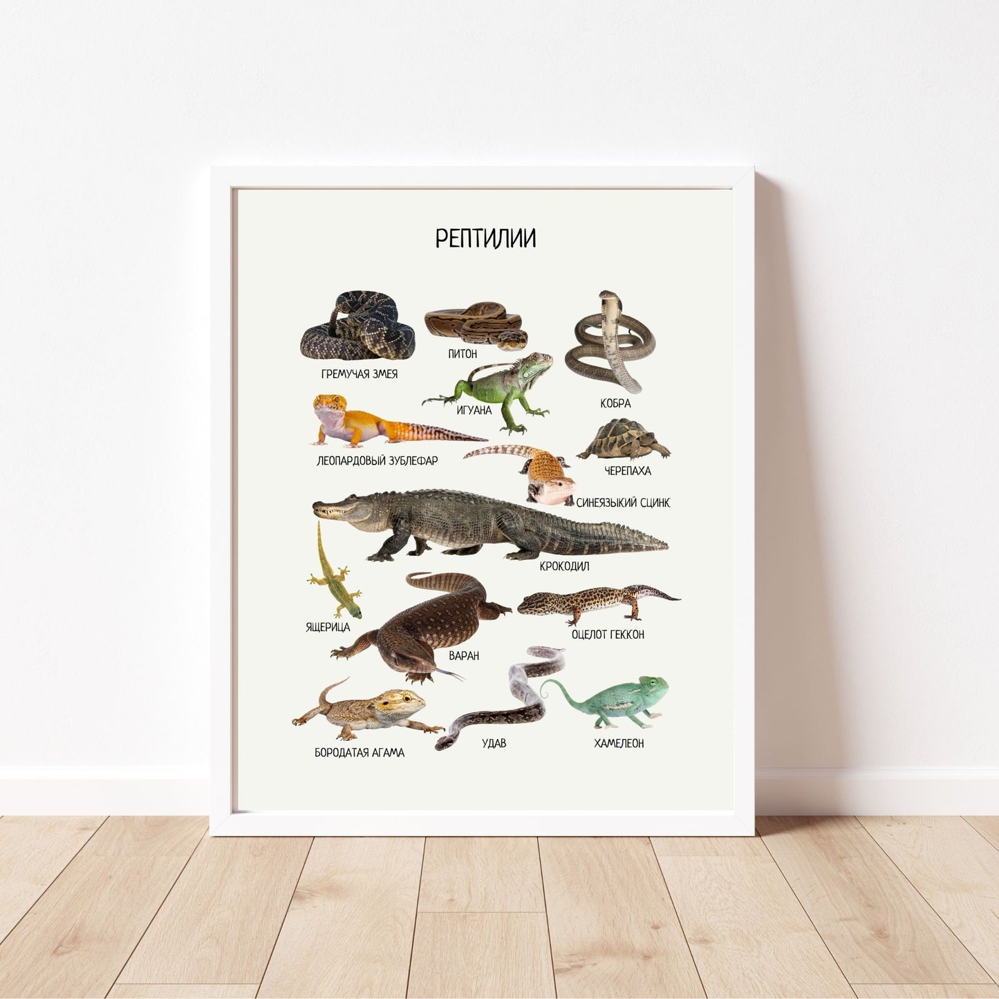 Постер "Рептилии"| Educational Poster "Reptiles" (Actual Print) in Russian. Home & Classroom Decor, *Frame not included