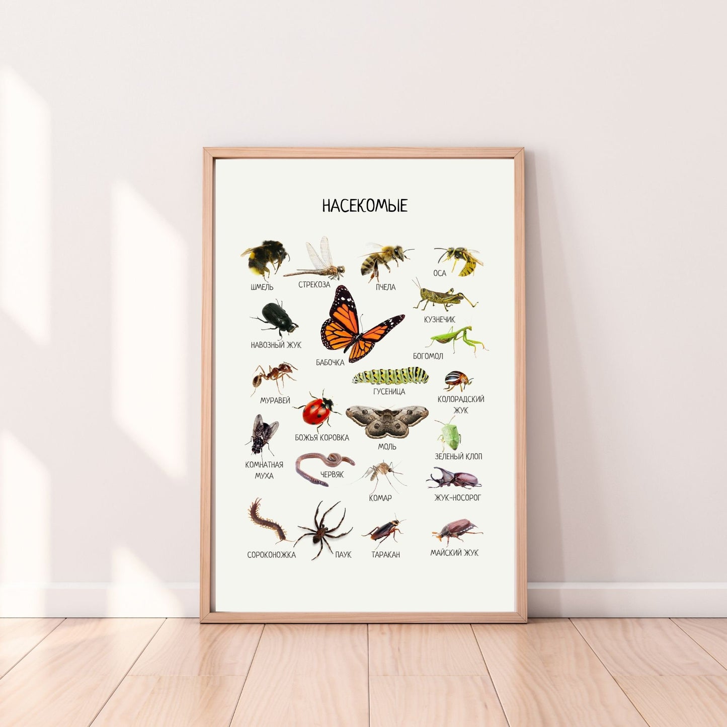 Постер "Насекомые"| Educational Poster "Insects" (Actual Print) in Russian. Home & Classroom Decor, *Frame not included