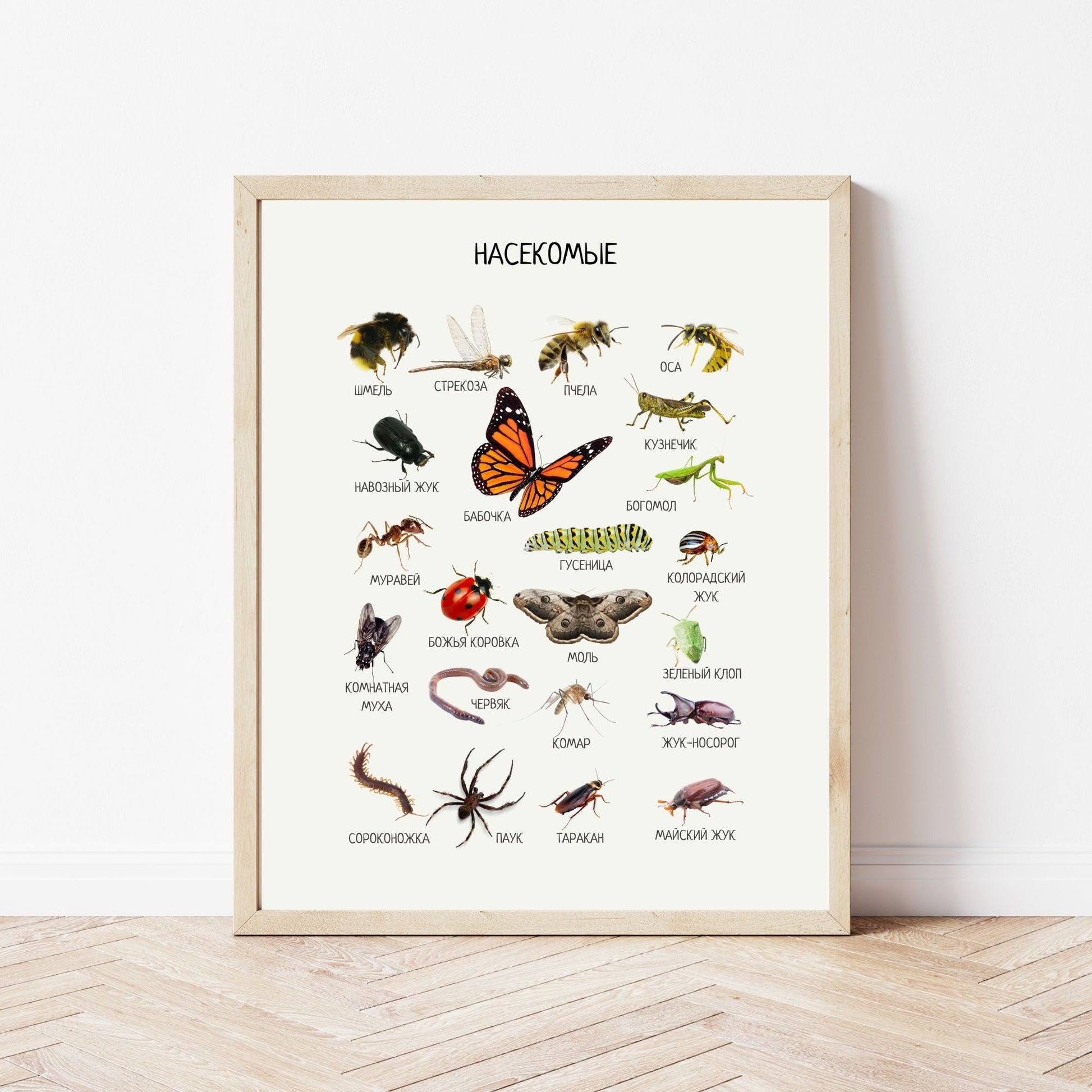 Постер "Насекомые"| Educational Poster "Insects" (Actual Print) in Russian. Home & Classroom Decor, *Frame not included