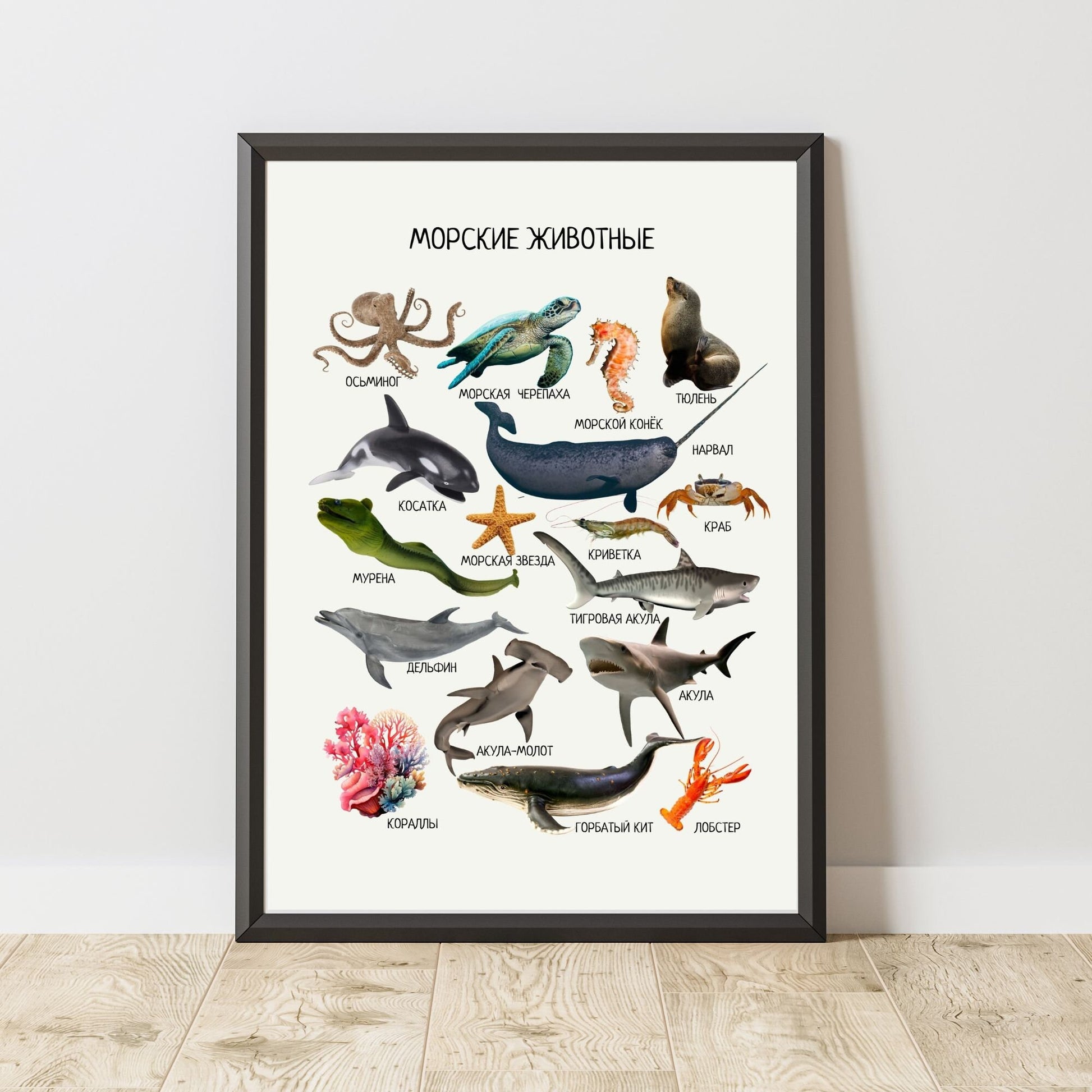 Постер "Морские животные"| Educational Poster "Ocean Animals"(Actual Print) in Russian. Home & Classroom Decor, *Frame not included