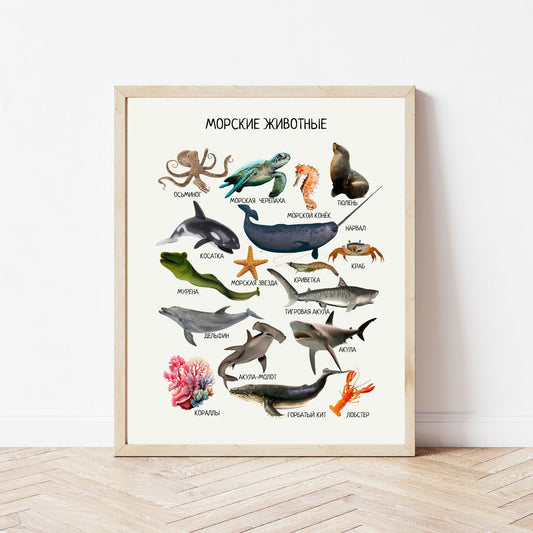 Постер "Морские животные"| Educational Poster "Ocean Animals"(Actual Print) in Russian. Home & Classroom Decor, *Frame not included