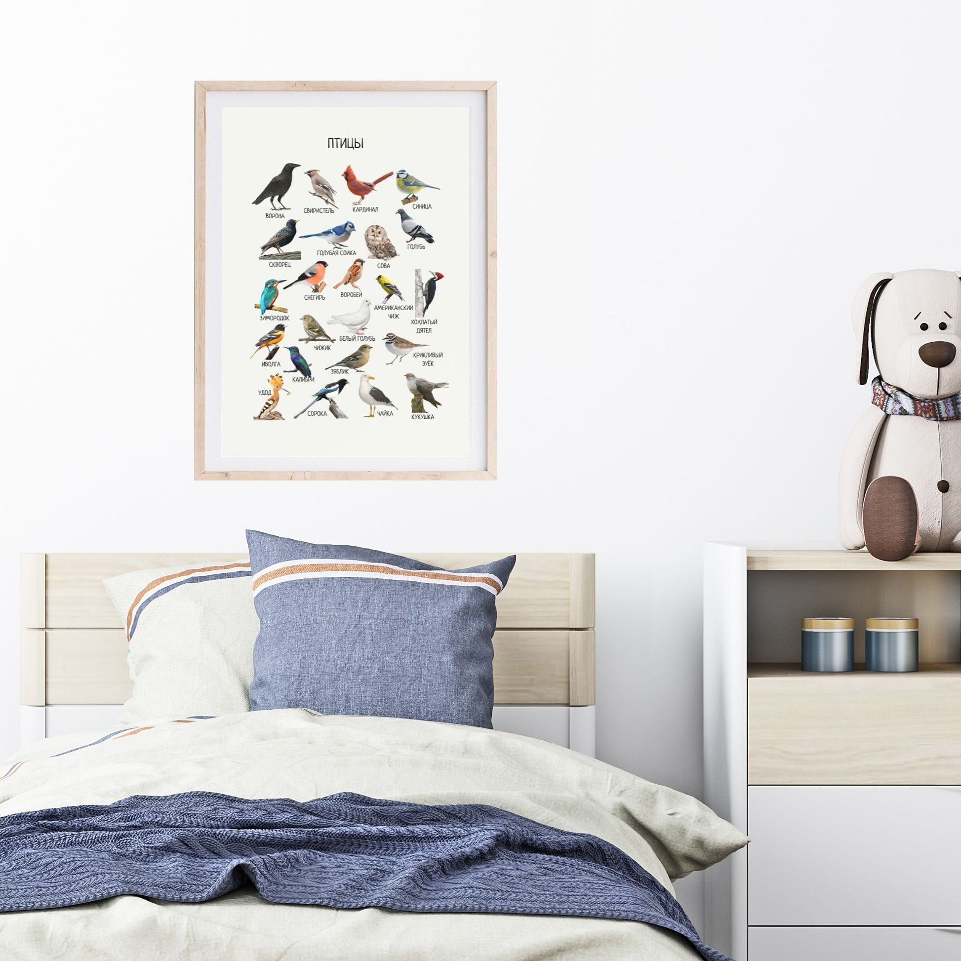 Постер "Птицы"| Educational Poster "Birds" (Actual Print) in Russian. Home & Classroom Decor, *Frame not included