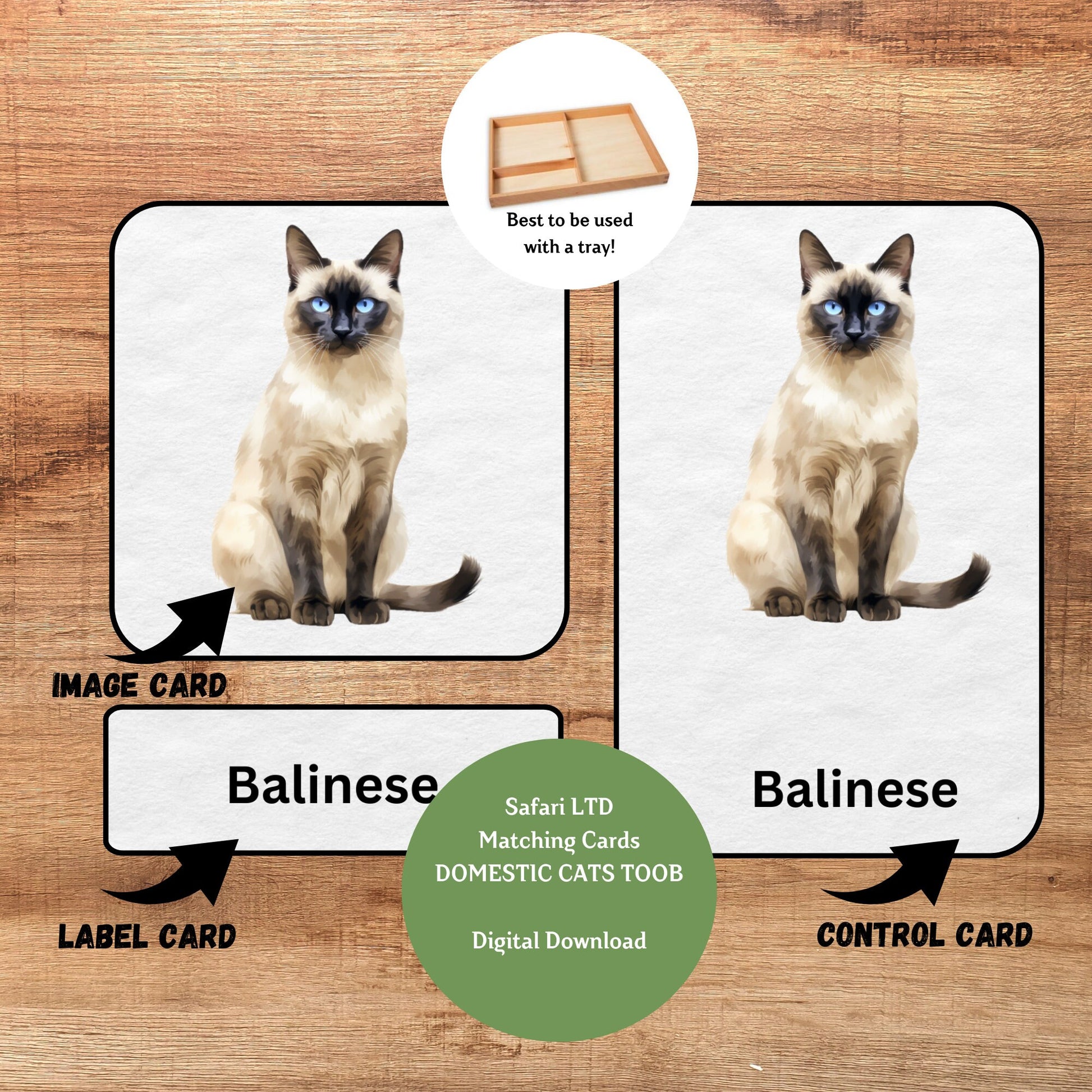 Domestic Cats, 3 Part Montessori Cards, 11 Safari LTD Toobs Coordinates, Preschool Vocabulary Activity, Pre-reading Printable Cards