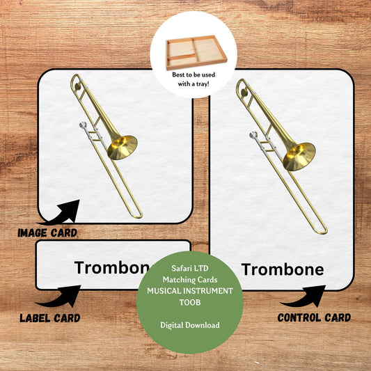 Musical Instruments, 3 Part Montessori Cards, 8 Safari LTD Toobs Coordinates, Preschool Vocabulary Activity, Pre-reading Printable Cards