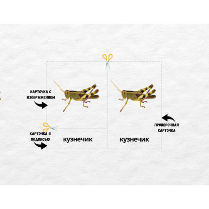 Трёхчастные классификационные карточки Монтессори "Насекомые", карточки для фигурок Safari LTD Toob "Insects"