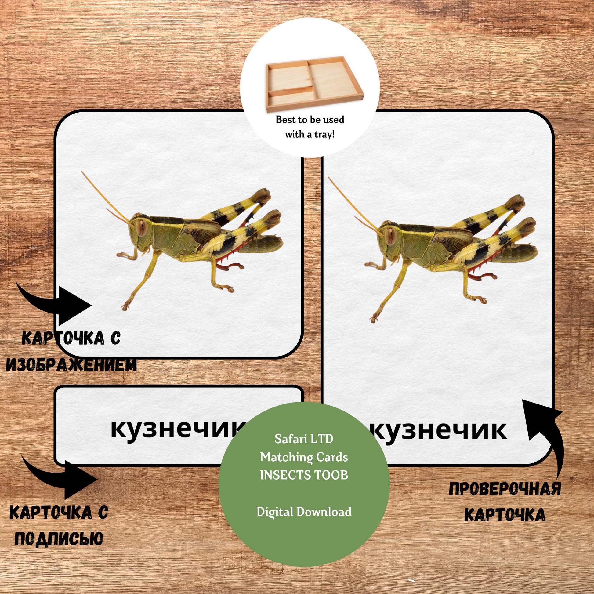 Трёхчастные классификационные карточки Монтессори "Насекомые", карточки для фигурок Safari LTD Toob "Insects"