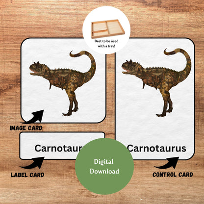 24 Dinosaur Nomenclature Cards, 3 Part Montessori Cards, Preschool Vocabulary Activity, Educational Pre-reading Printable Cards