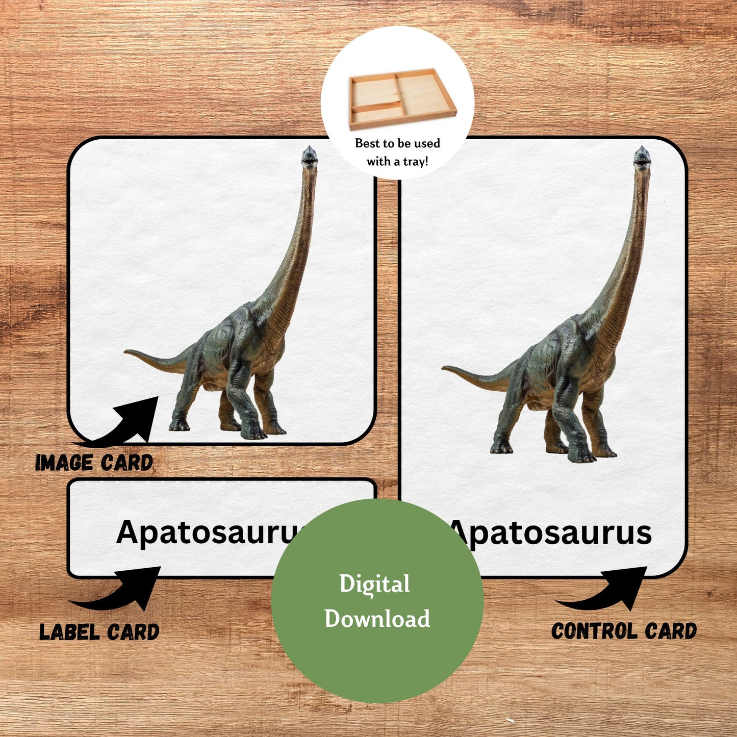 Dinosaur, 3 Part Montessori Cards, 12 Printable Safari LTD Toobs Coordinates, Preschool Vocabulary Activity, Pre-reading Printable Cards