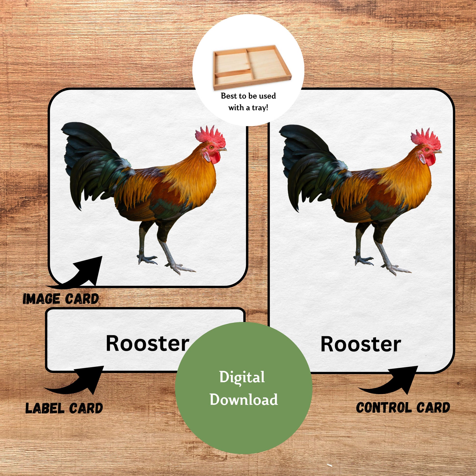 19 Farm Animals, 3 Part Montessori Cards, Preschool Vocabulary Activity, Educational Pre-reading Printable Cards, Farm Pets Nomenclature