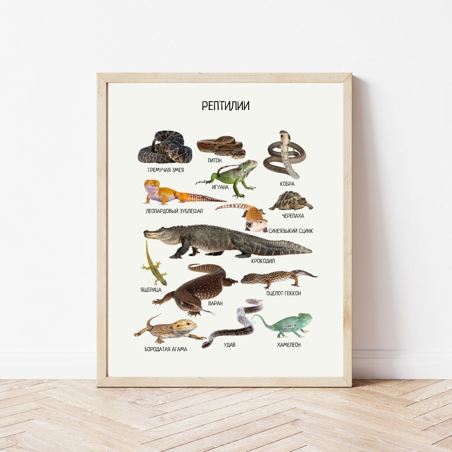 Постер "Рептилии"| Educational Poster "Reptiles" (Actual Print) in Russian. Home & Classroom Decor, *Frame not included