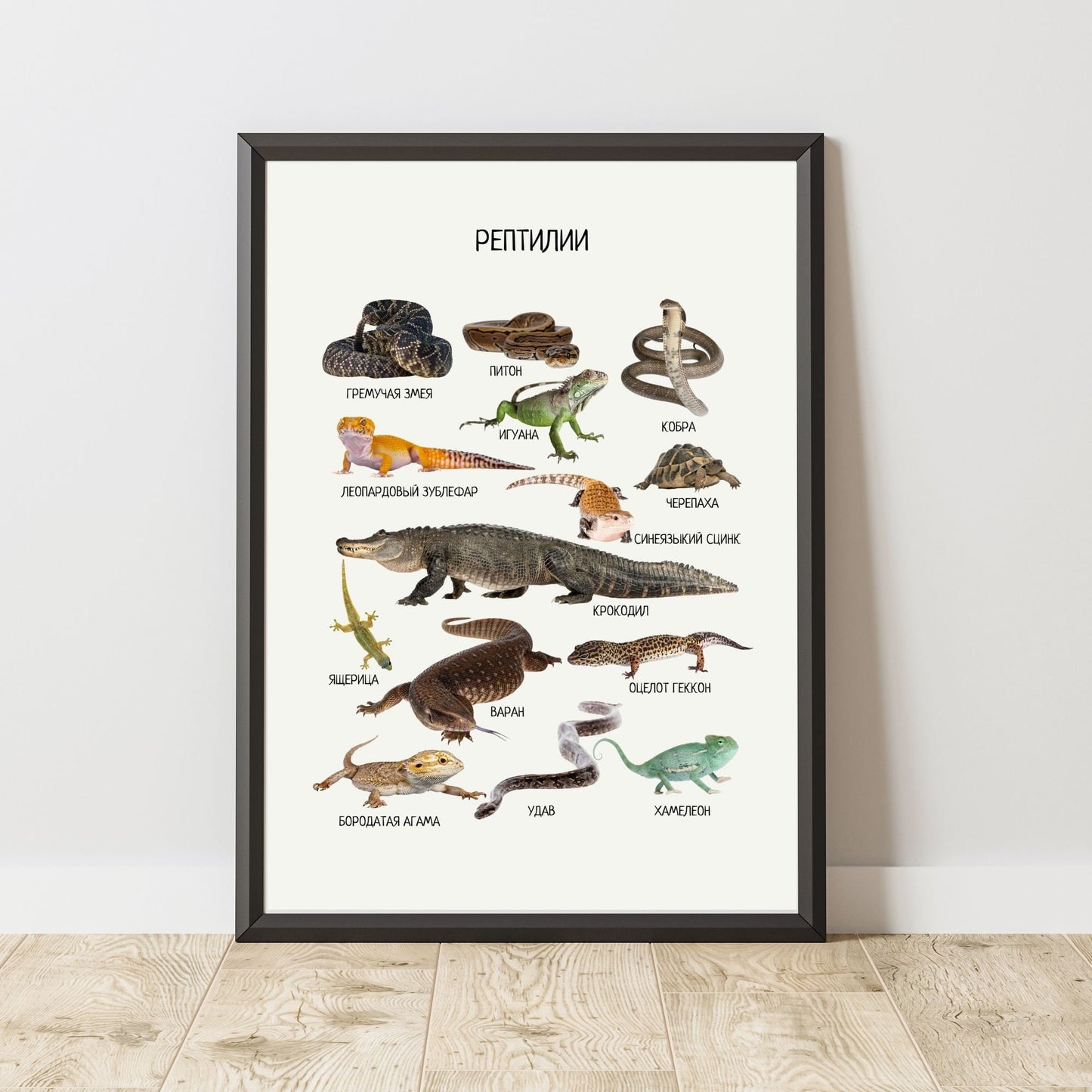 Постер "Рептилии"| Educational Poster "Reptiles" (Actual Print) in Russian. Home & Classroom Decor, *Frame not included