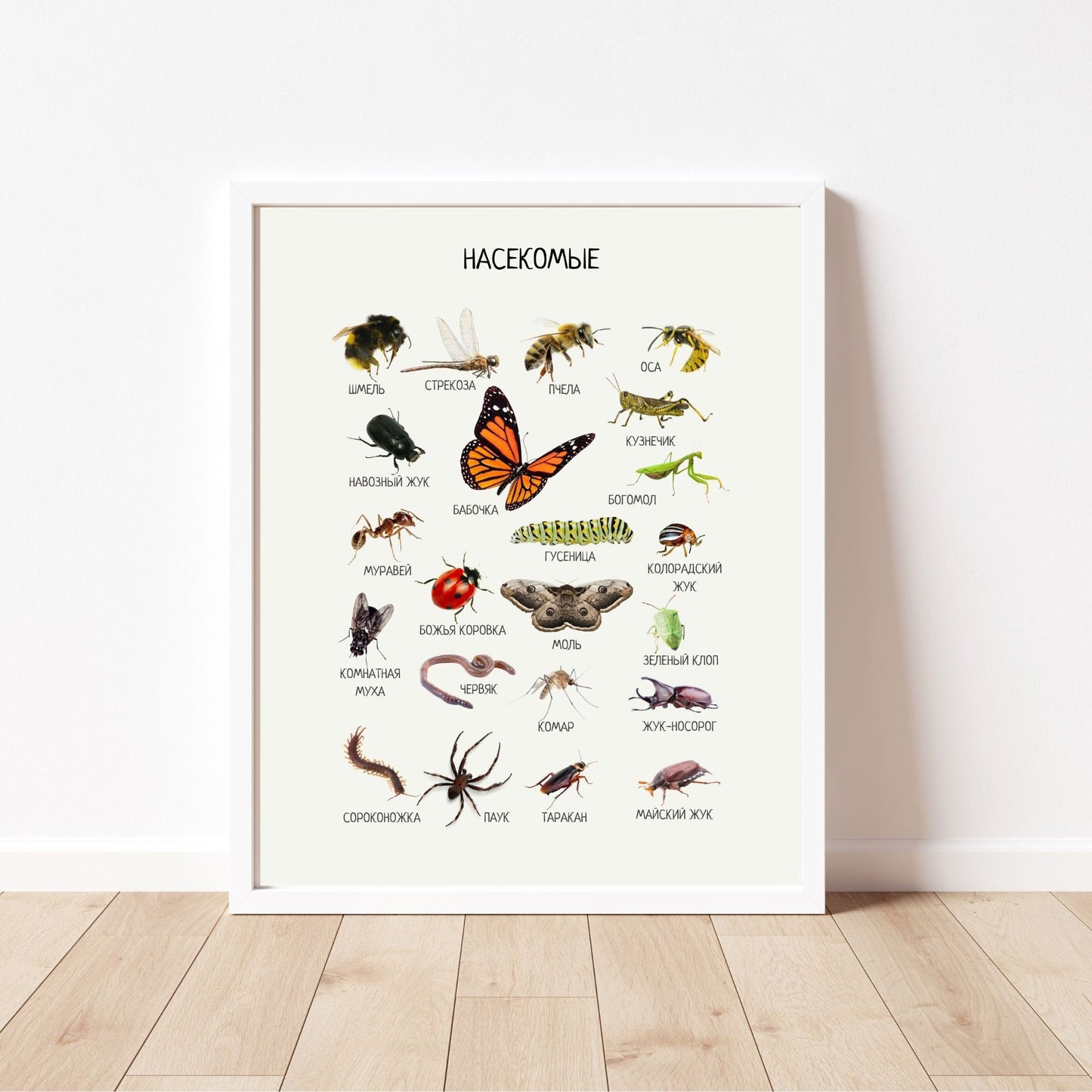 Постер "Насекомые"| Educational Poster "Insects" (Actual Print) in Russian. Home & Classroom Decor, *Frame not included