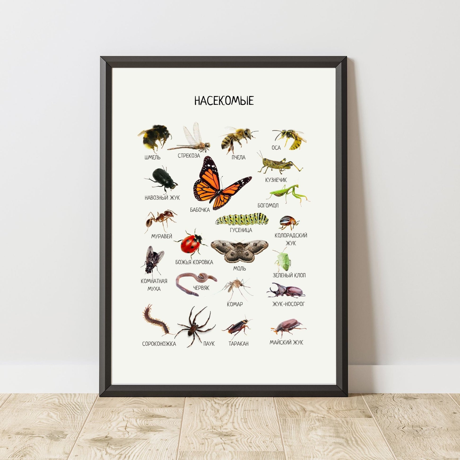 Постер "Насекомые"| Educational Poster "Insects" (Actual Print) in Russian. Home & Classroom Decor, *Frame not included