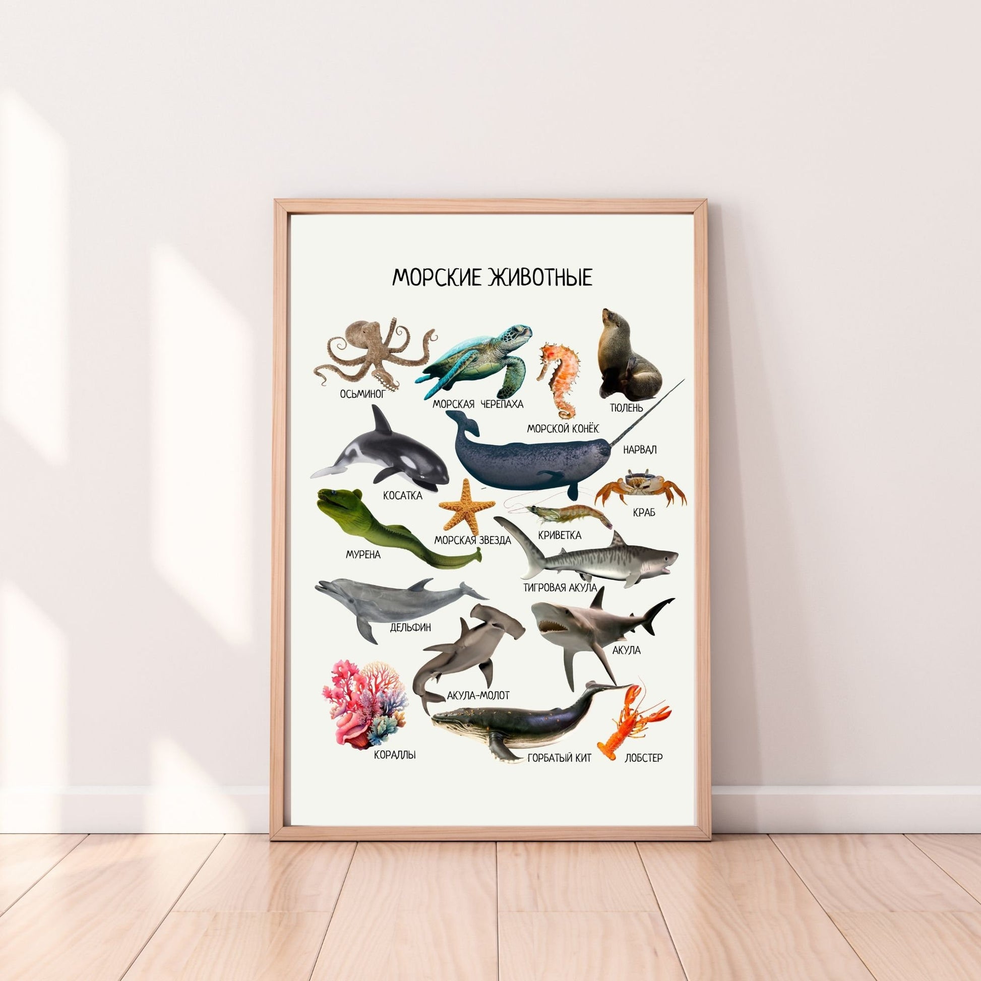 Постер "Морские животные"| Educational Poster "Ocean Animals"(Actual Print) in Russian. Home & Classroom Decor, *Frame not included