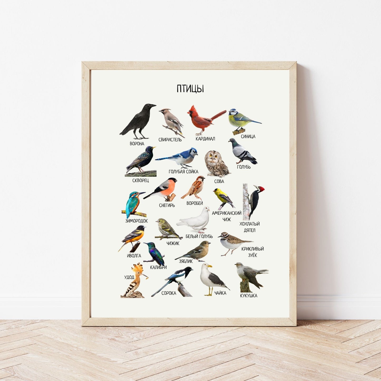 Постер "Птицы"| Educational Poster "Birds" (Actual Print) in Russian. Home & Classroom Decor, *Frame not included