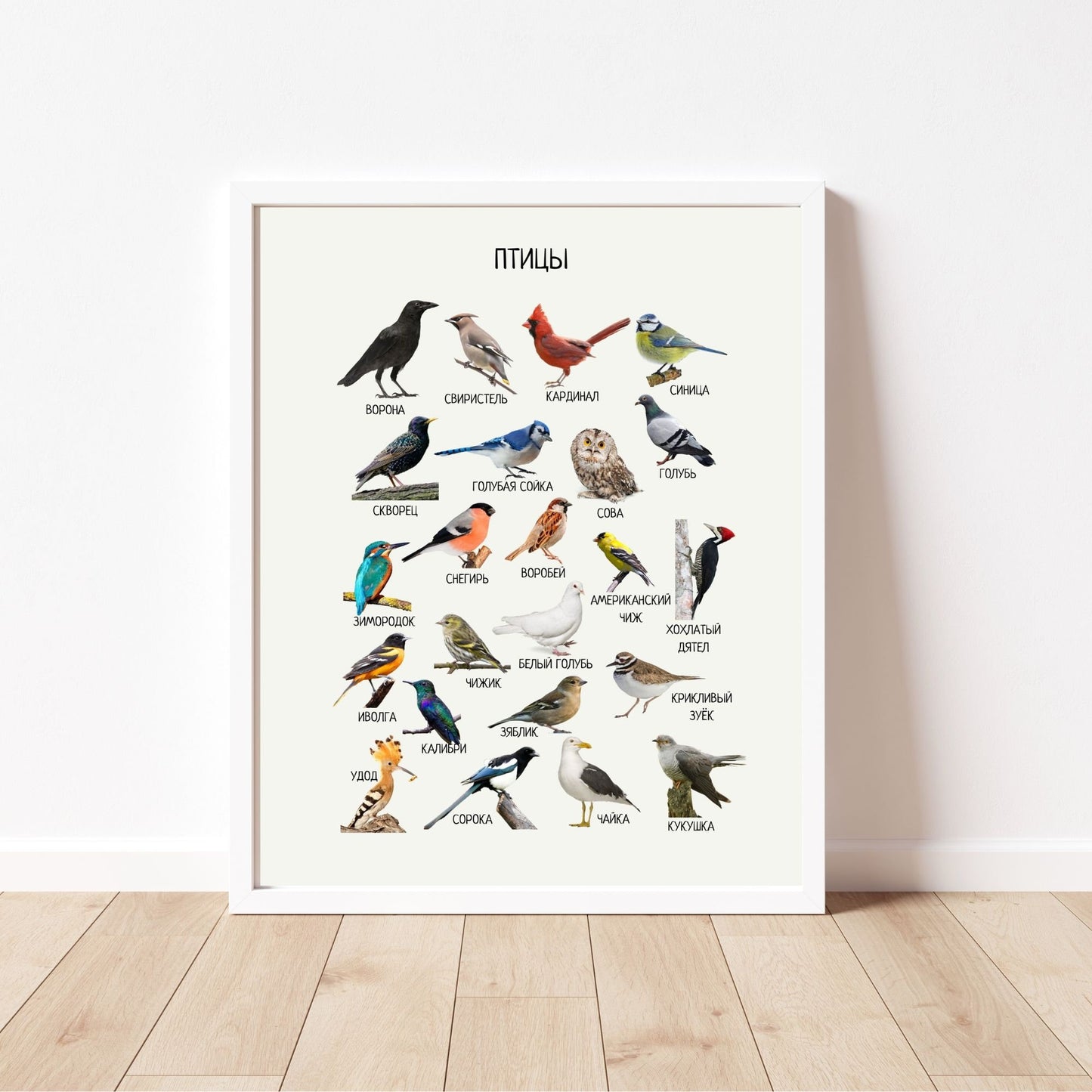 Постер "Птицы"| Educational Poster "Birds" (Actual Print) in Russian. Home & Classroom Decor, *Frame not included