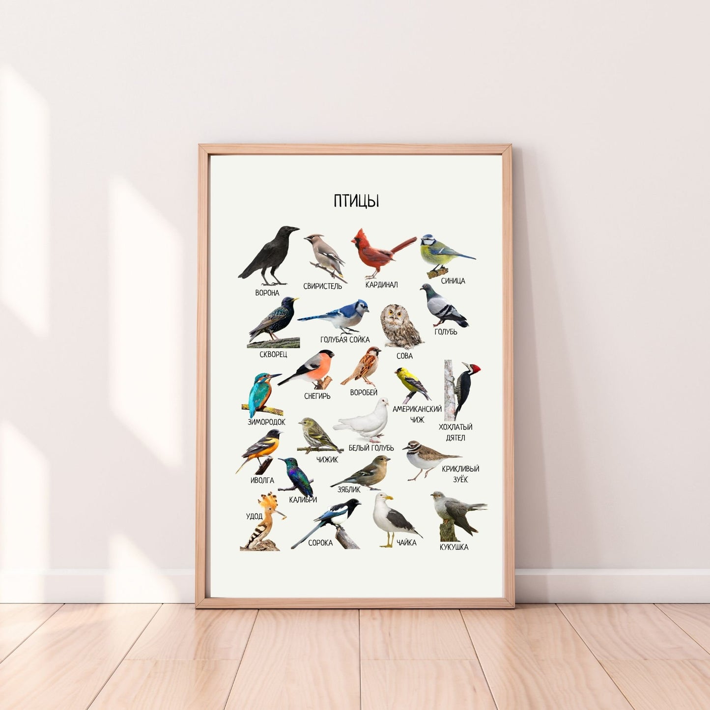 Постер "Птицы"| Educational Poster "Birds" (Actual Print) in Russian. Home & Classroom Decor, *Frame not included