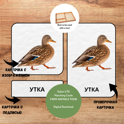 Трёхчастные классификационные карточки Монтессори "Животные фермы", карточки для фигурок Safari LTD Toob "Farm Animals"