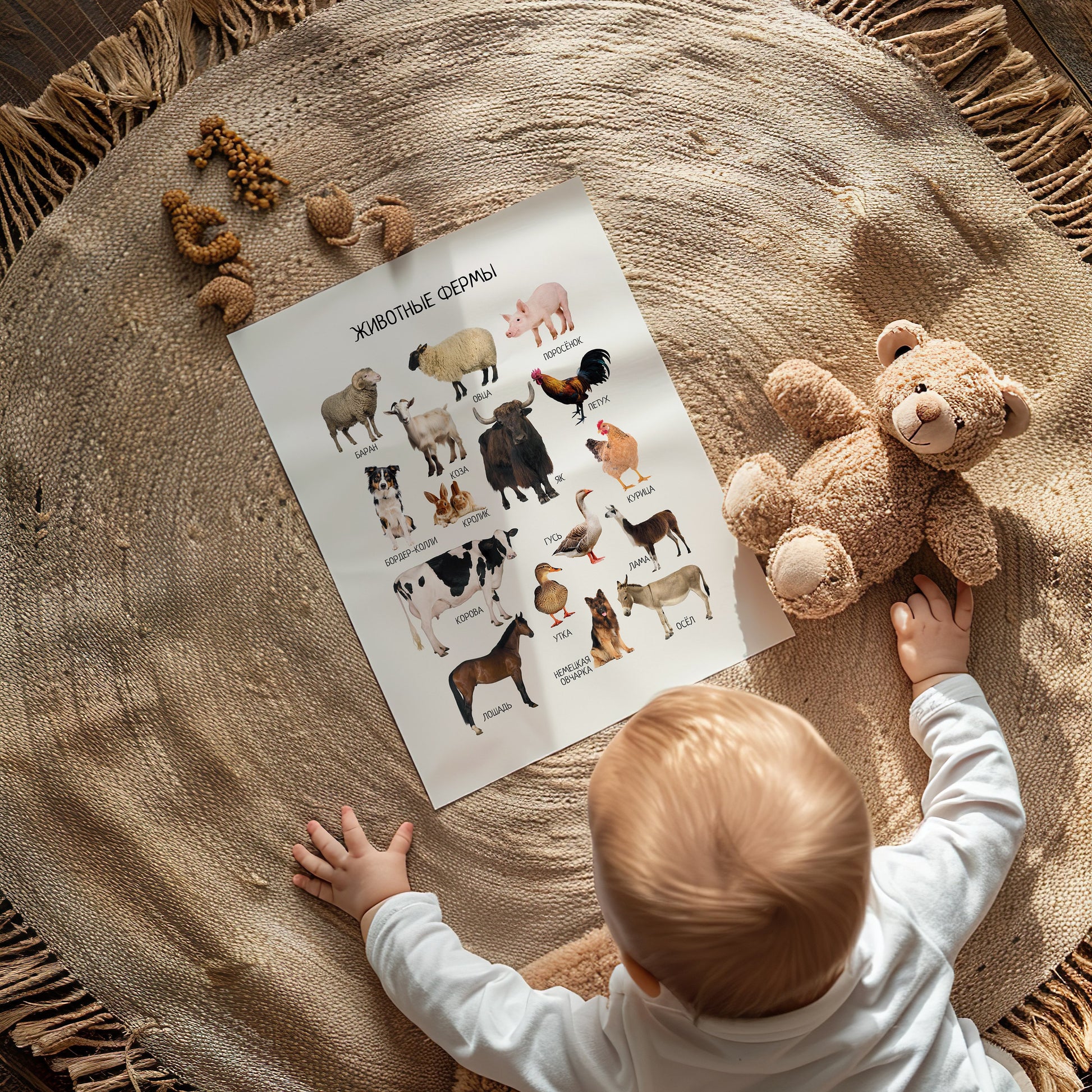 Постер "Животные фермы"| Educational Poster "Farm Animals" (Actual Print) in Russian. Home & Classroom Decor, *Frame not included