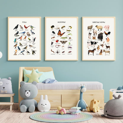 Russian Educational Posters, Set of 6, Animal Posters, Homeschool Prints, Montessori Classroom Decor, Playroom Decor *FRAME NOT INCLUDED