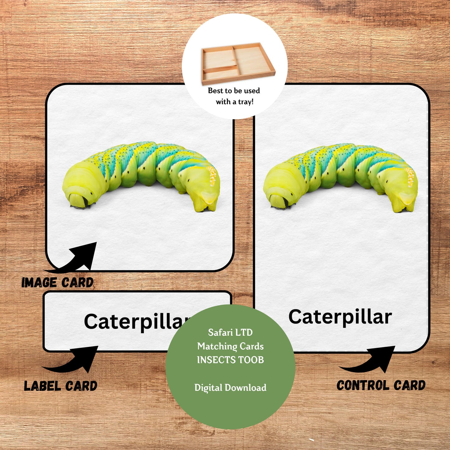 Insect Nomenclature, 3 Part Montessori Cards, 14 Safari LTD Toobs Coordinates, Preschool Vocabulary Activity, Pre-reading Printable Cards