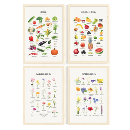 Fruits and Veggies Set of 4 Russian Educational Posters, Toddler Playroom Decor, Educational Wall Art Prints, Montessori Materials