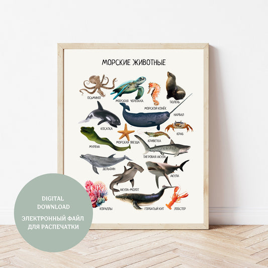 Обучающий плакат "Морские животные" | Marine Animals Educational Poster in Russian, Montessori Printable Learning Poster