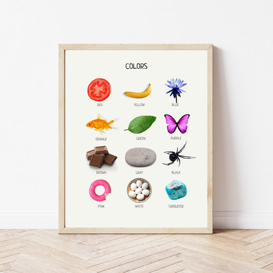 Colors Educational Poster, Montessori Poster, Learn Colors, Classroom Decor, Colors Poster, Montessori Classroom Decor FRAME NOT INCLUDED