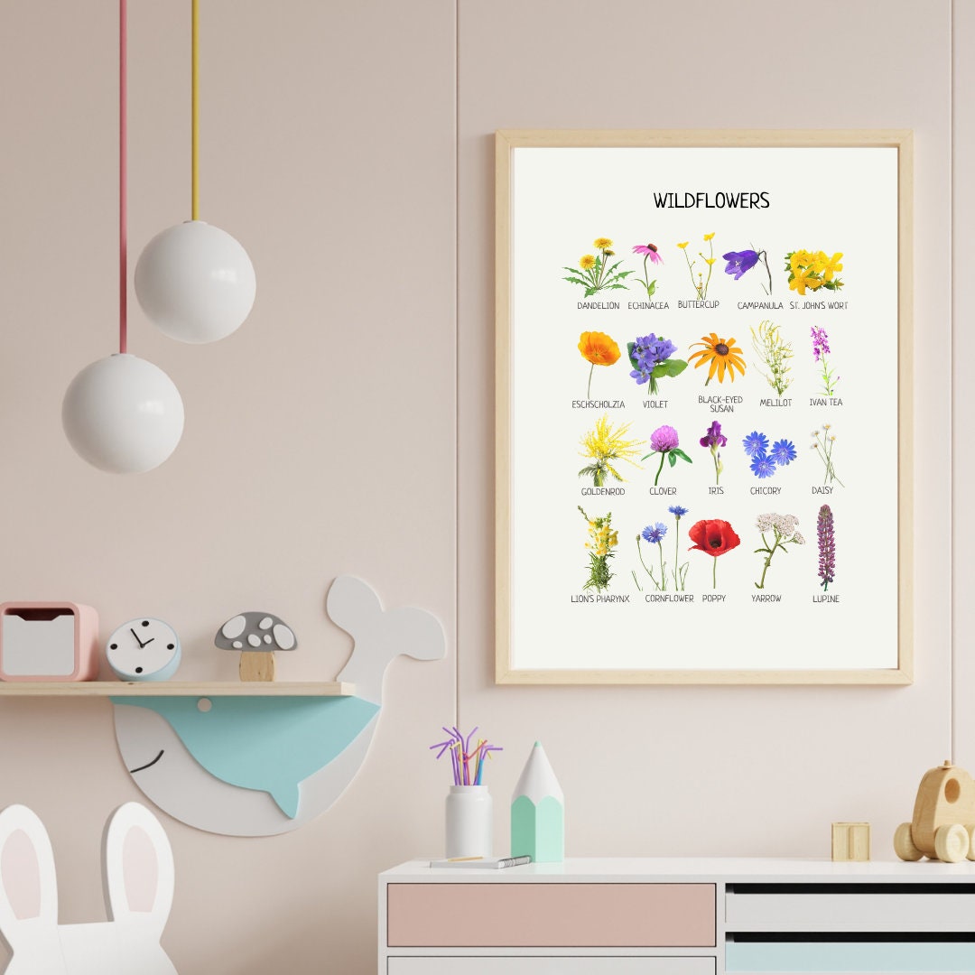 Wildflowers Poster, Educational Nature Poster, Flower Poster, Nursery Wall Art