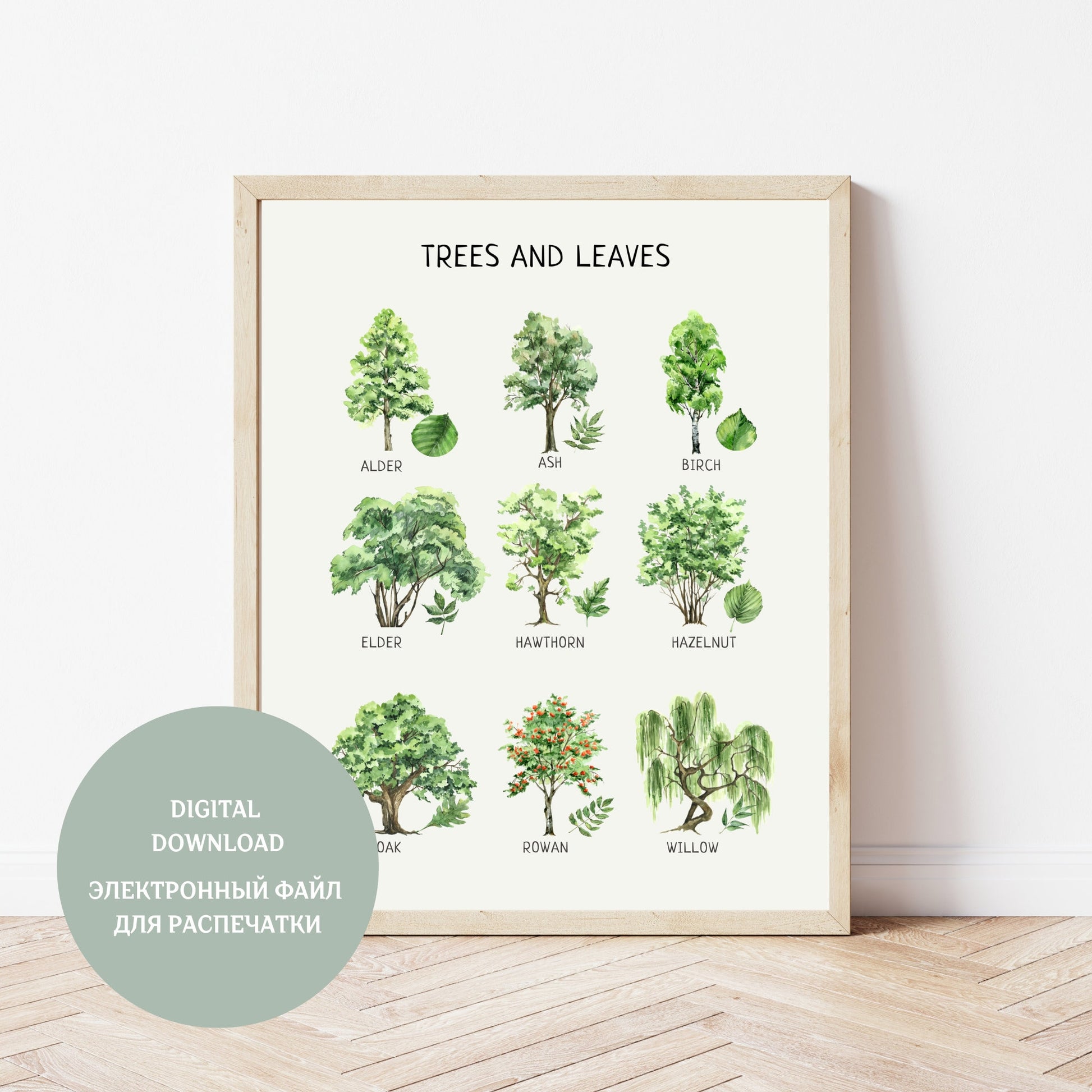 Trees and Leaves Educational Poster, Montessori Poster, Homeschool Decor