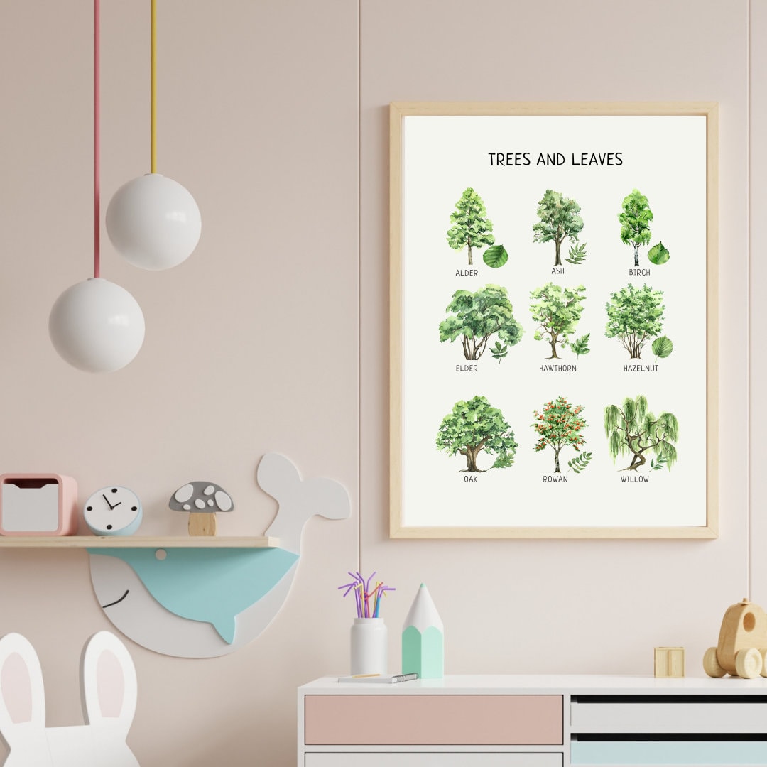 Trees and Leaves Educational Poster, Montessori Poster, Homeschool Decor