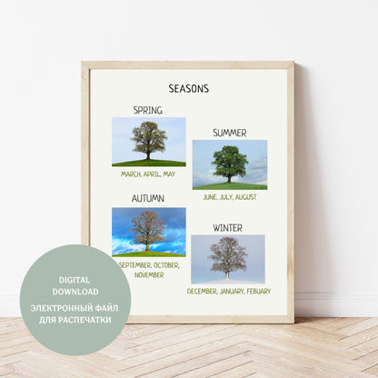 Seasons Poster, Seasons Chart, Kids Wall Decor, Montessori Educational Poster.