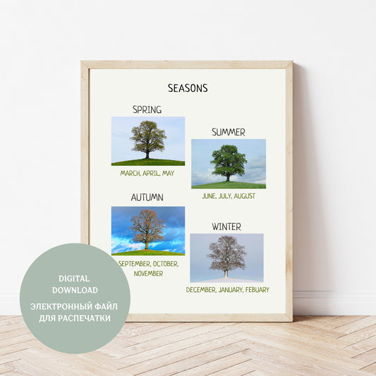 Seasons Poster, Seasons Chart, Kids Wall Decor, Montessori Educational Poster.