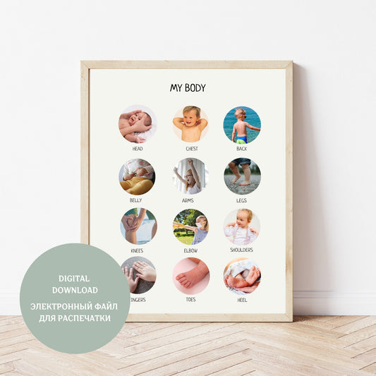 My Body Educational Poster, Printable Wall Art, Body Parts Poster, Preschool Kids Anatomy Poster