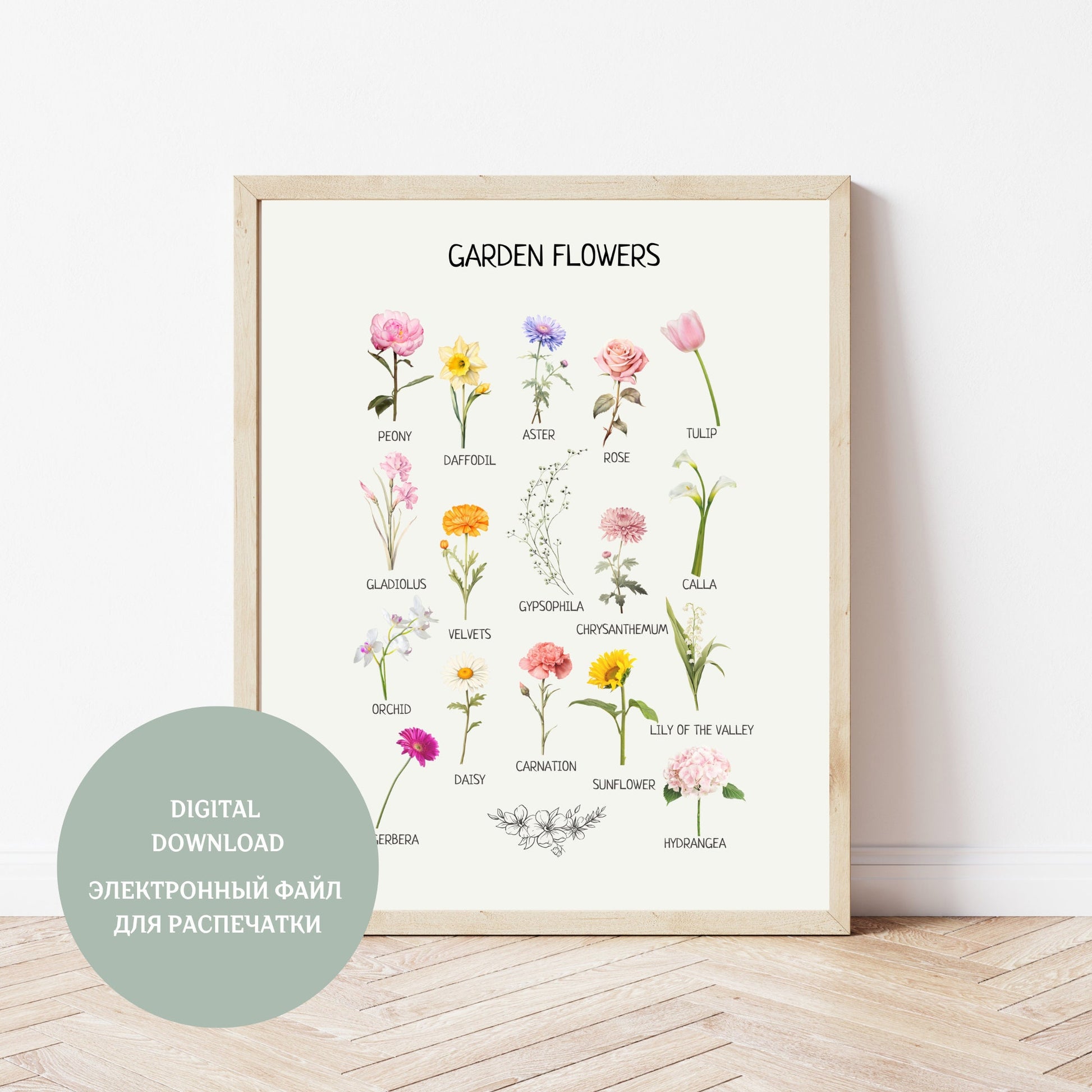 Educational Flowers Poster, Montessori Learning Material, Classroom Decor