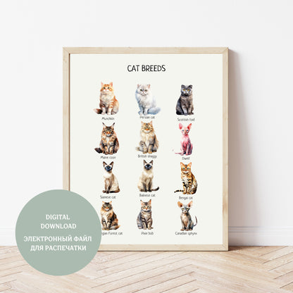 Cat Breeds Poster, Educational Learning Material, Montessori Wall Art Poster, Classroom Decor