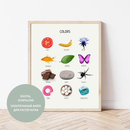 Colors Educational Poster, Montessori Poster, Learn Colors, Classroom Decor