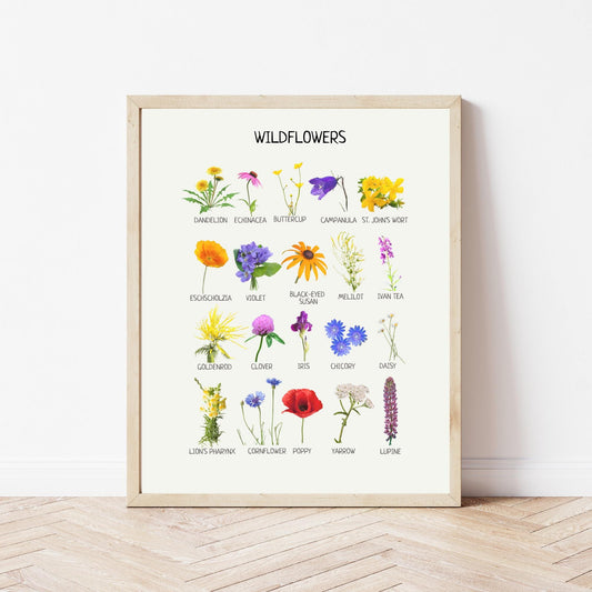 Wildflowers Educational Poster, Flowers Wall Art, Montessori Printable Poster