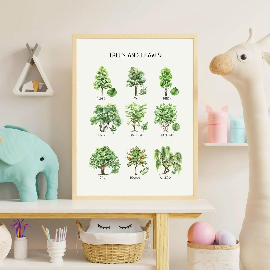 Educational Trees & Leaves Poster, Printable Wall Decor, Nature Poster