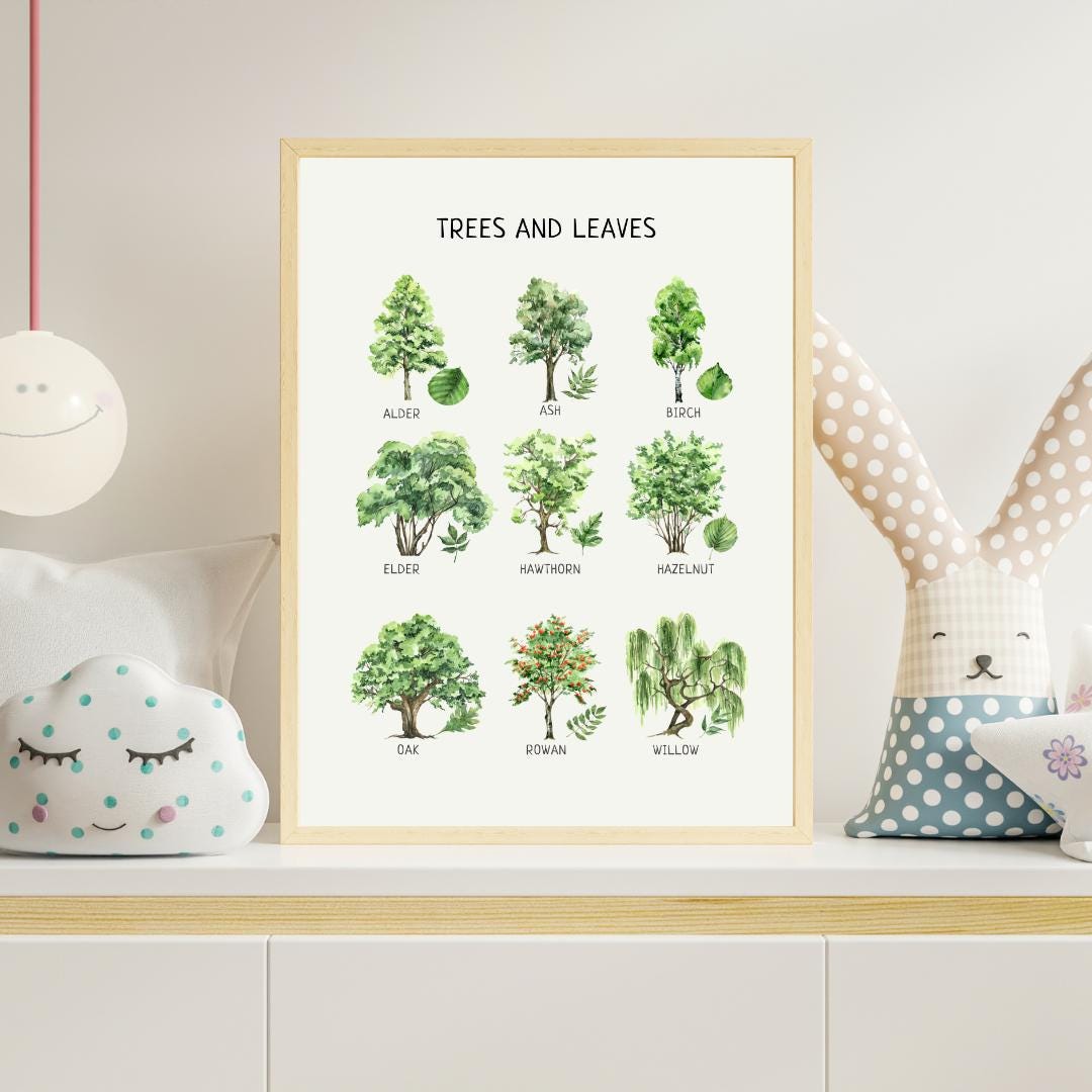 Educational Trees & Leaves Poster, Printable Wall Decor, Nature Poster