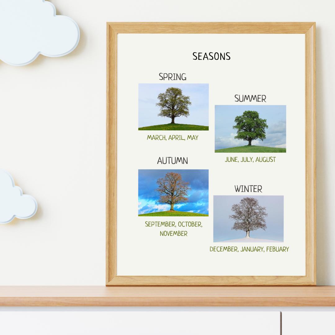 Seasons Poster, Printable Educational Decor, Nature Poster, Montessori Homeschool Decor