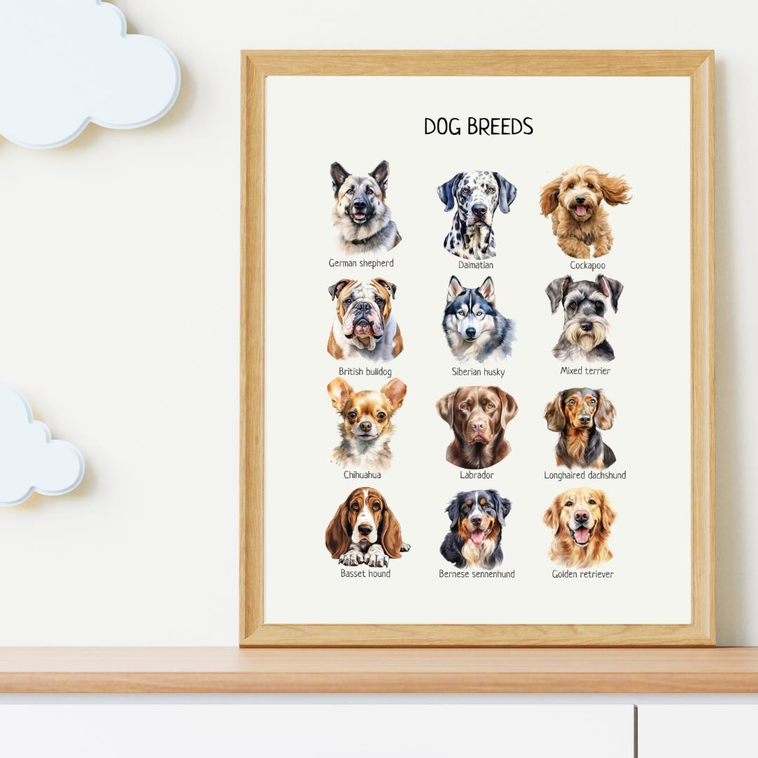 Dog Breeds Poster, Educational Wall Art, Dog Breeds Print, Montessori Material, Classroom Decor, Nursery Room Decor, FRAME NOT INCLUDED