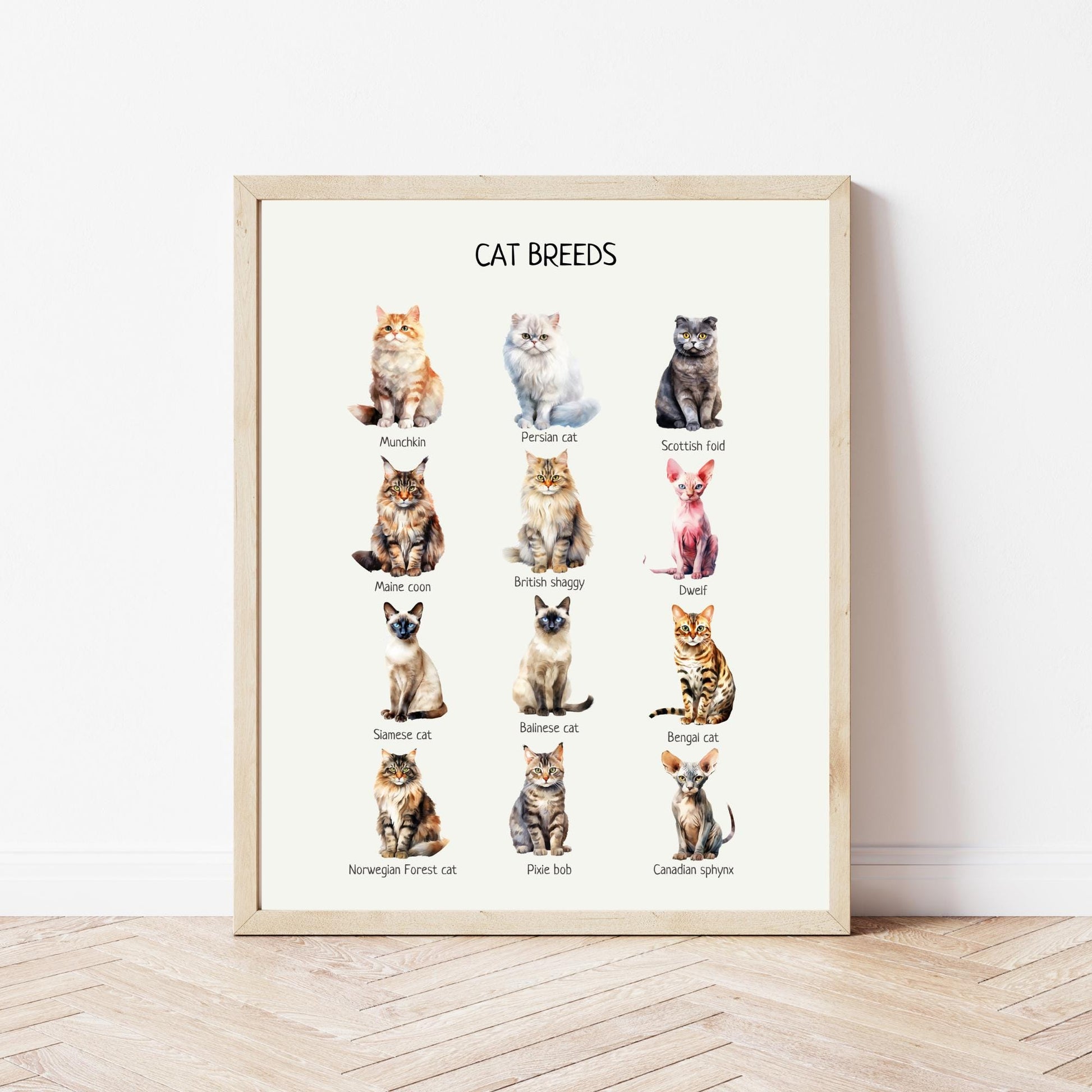 Cat Breeds Poster, Kids Educational Wall Art, Cat Breeds Print, Montessori Material, Classroom Decor