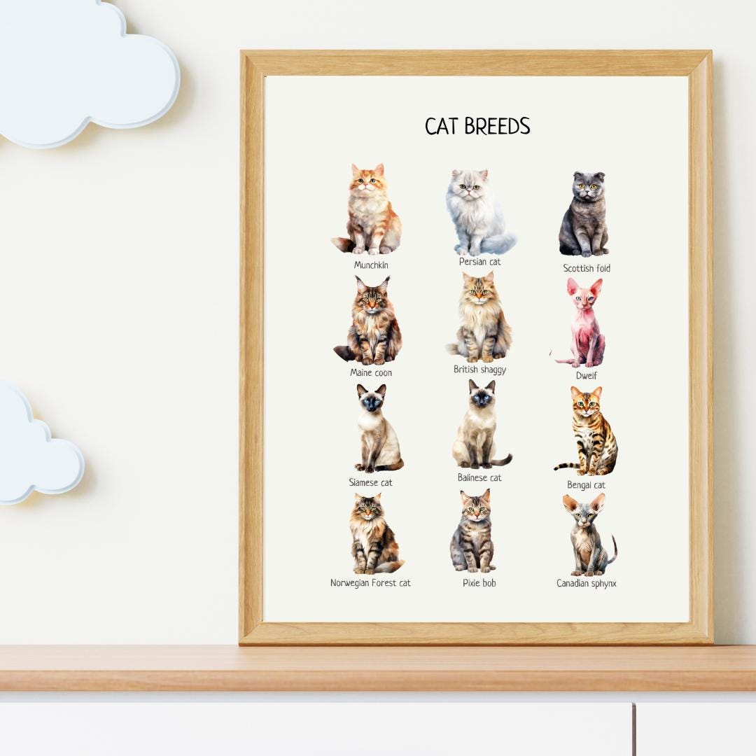 Cat Breeds Poster, Kids Educational Wall Art, Cat Breeds Print, Montessori Material, Classroom Decor