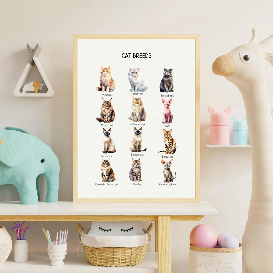 Cat Breeds Poster, Kids Educational Wall Art, Cat Breeds Print, Montessori Material, Classroom Decor