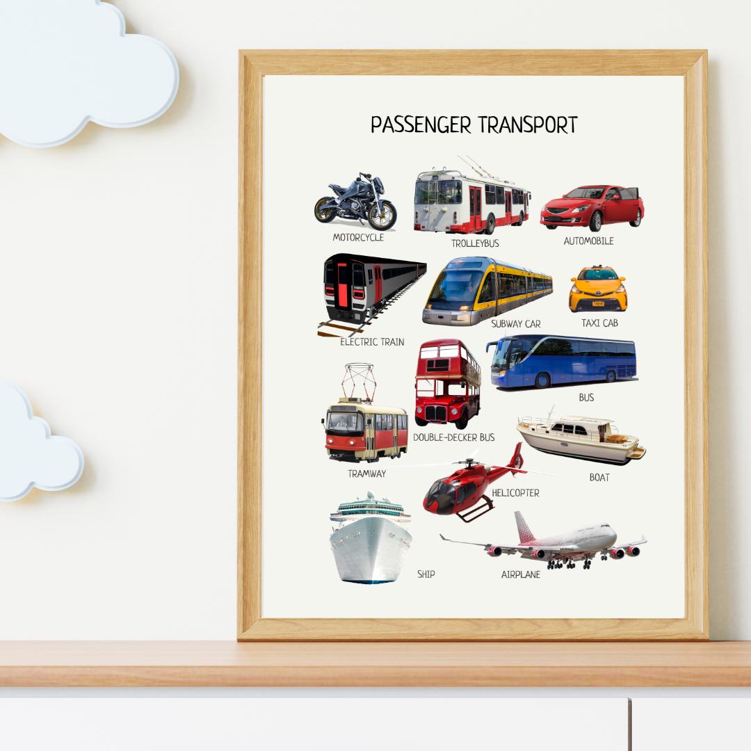 Passenger Transport Poster, Educational Wall Art, Public Transport, Montessori Material, Classroom Decor