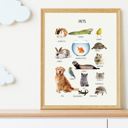 Pets Poster, Animals Wall Art, Montessori Material, Kids Wall Print Poster, Classroom Decor