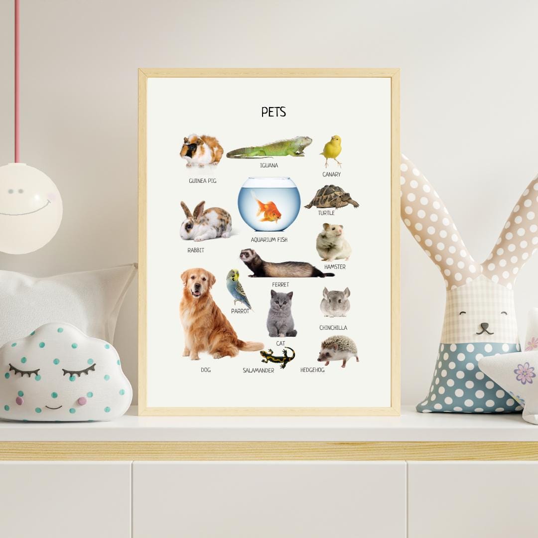 Pets Poster, Animals Wall Art, Montessori Material, Kids Wall Print Poster, Classroom Decor